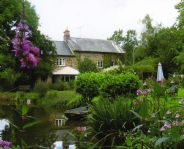 Ford Mill